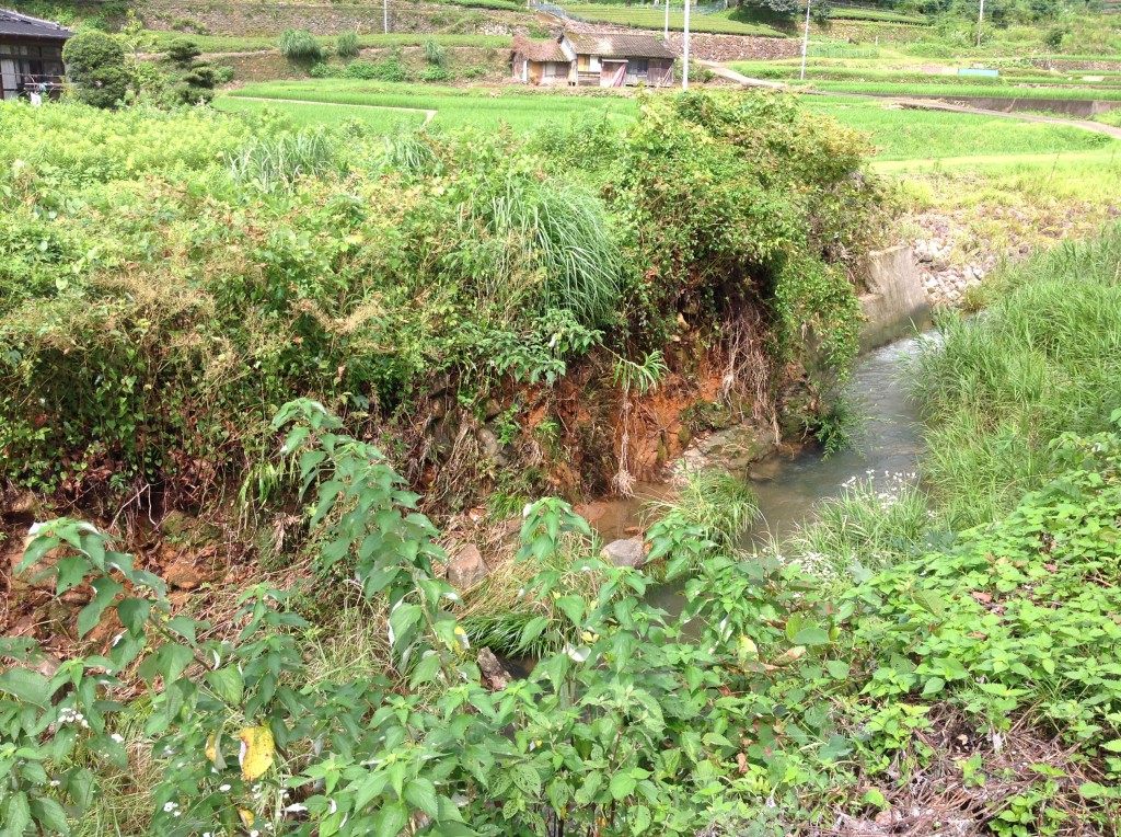 大雨による河川のくずれの状況